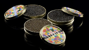 Caviar Sturia 